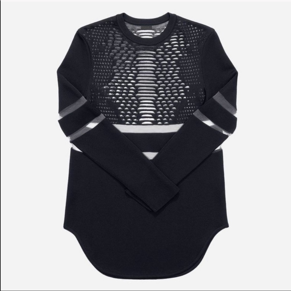 Alexander Wang X H&M Black Sheer Dress